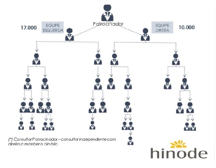 organograma plano binário hinode