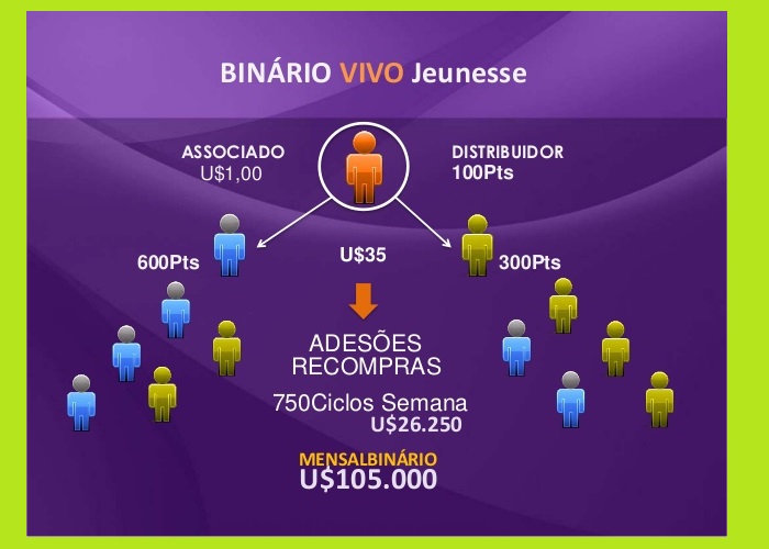 Organograma do plano binário jeunesse