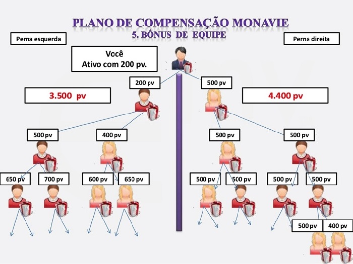 organograma do plano binário monavie