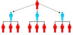 Plano Matriz Forçada