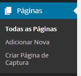 SqueezeWP Adicionar Nova Página