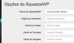 SqueezeWP Configurar Redes Sociais